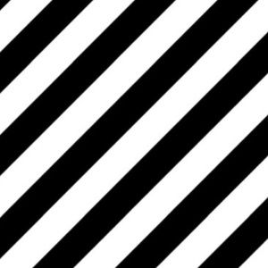 Meet your Posher, Joey